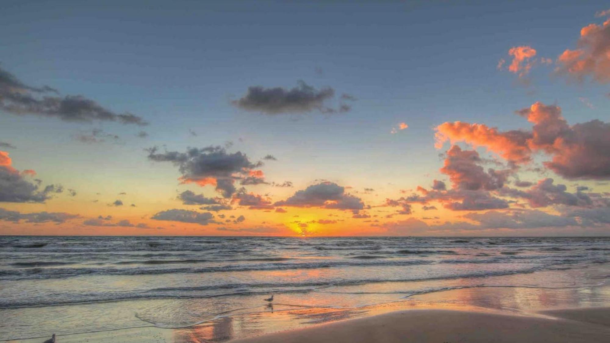 Ferienwohnung Sleeps 4, Value Retreat - Free Garage Pet Friendly Corpus Christi Exterior foto